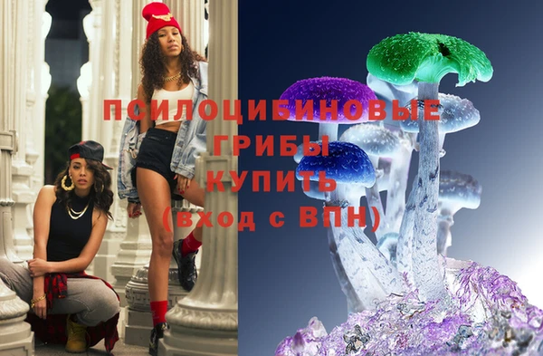 герыч Бронницы
