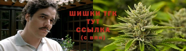 герыч Бронницы