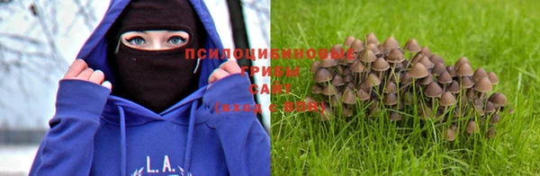 герыч Бугульма