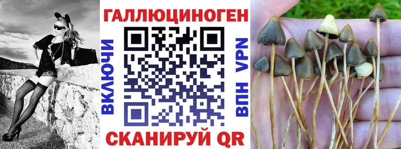 Галлюциногенные грибы Psilocybe  Мытищи 